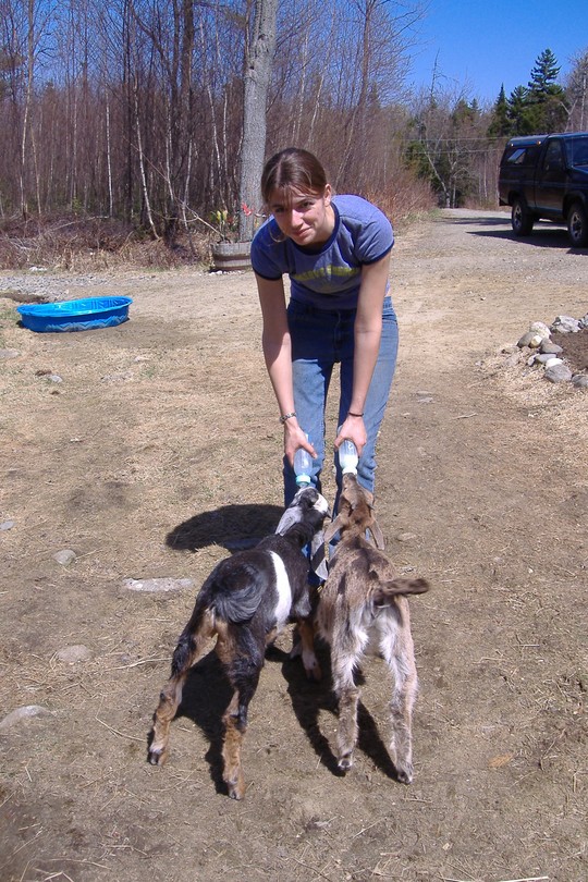 Girl Slaughtering Goat